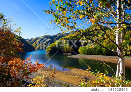 秋色に紅葉した木々とダム湖の風景 ( 定山渓 北海道 ) 秋色に紅葉した木々とダム湖の風景 ( 定山渓 北海道 ) 143628566