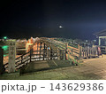ライトアップされた錦帯橋に架かるライトアップ 143629386
