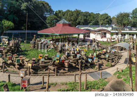 町田リス園 リス放し飼い広場の中の風景 町田リス園 リス放し飼い広場の中の風景 143630490