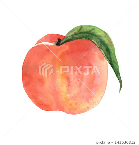 Bright ripe whole peach with a green leaf, realistic watercolor fruit illustration for food packaging, recipes, kitchen decor and summer design projects Bright ripe whole peach with a green leaf, realistic watercolor fruit illustration for food packaging, recipes, kitchen decor and summer design projects 143630812