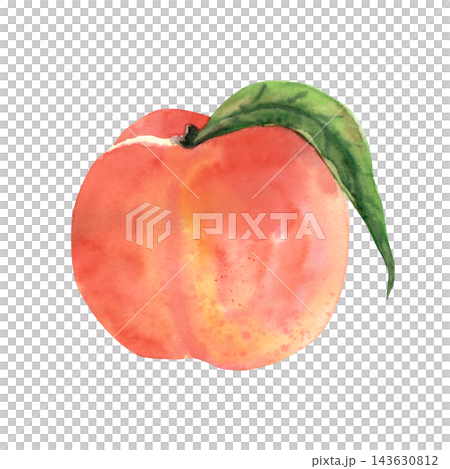 Bright ripe whole peach with a green leaf, realistic watercolor fruit illustration for food packaging, recipes, kitchen decor and summer design projects Bright ripe whole peach with a green leaf, realistic watercolor fruit illustration for food packaging, recipes, kitchen decor and summer design projects 143630812
