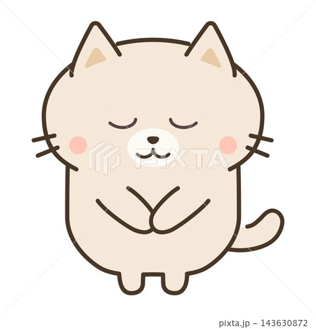 神妙に謝罪する猫 白猫 神妙に謝罪する猫 白猫 143630872