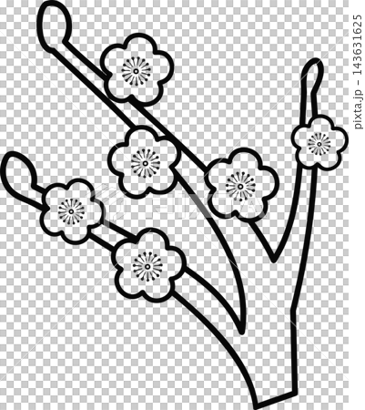 梅花和枝條的線條畫插圖 梅花和枝條的線條畫插圖 143631625