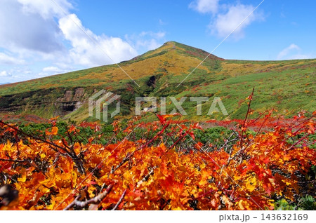 栗駒山の紅葉 栗駒山の紅葉 143632169
