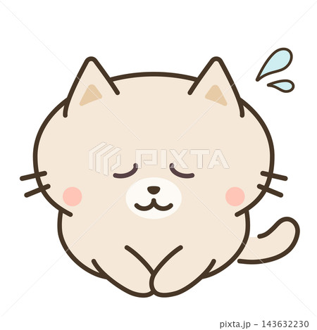 正座して謝罪する猫 白猫 正座して謝罪する猫 白猫 143632230