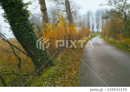 Autumn, road and nature trees in woodlands, environment and outdoor forest with driving motorway in Amsterdam. Travel, seasonal and fall environment in woods or countryside, leaves and growth Autumn, road and nature trees in woodlands, environment and outdoor forest with driving motorway in Amsterdam. Travel, seasonal and fall environment in woods or countryside, leaves and growth 143632239