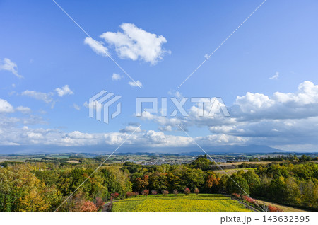 北海道美瑛町の丘の景色 北海道美瑛町の丘の景色 143632395