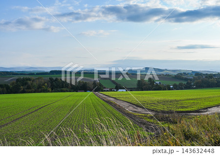 北海道美瑛町の丘の景色 北海道美瑛町の丘の景色 143632448