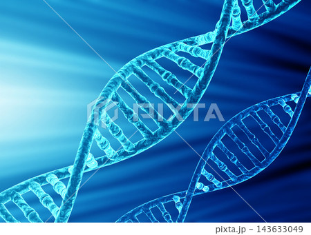 DNA molecules DNA molecules 143633049