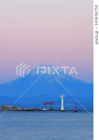 真名瀬海岸から見るビーナスベルト富士 真名瀬海岸から見るビーナスベルト富士 143636750