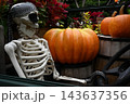 ゴースト ゴースト 143637356