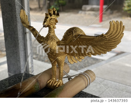 金色の鶏の手水 神社の手水舎 金色の鶏の手水 神社の手水舎 143637393