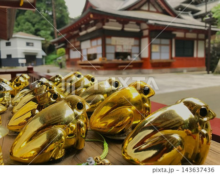 金色のカエルの置物　貫前神社の縁起物 143637436