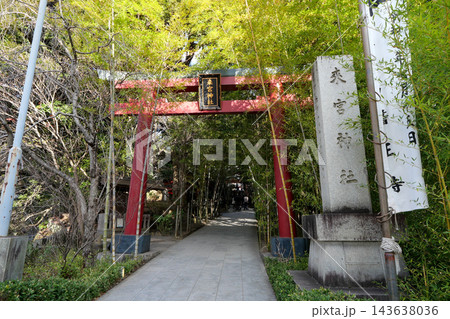 静岡県　冬　熱海市　来宮神社 143638036