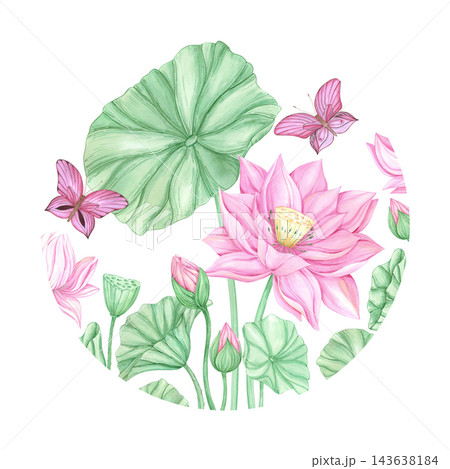 Hand drawn watercolor lotus pond with butterflies round label. Composition isolated on white background. Can be used for card, invitation, tropical spa design and other printed products 143638184