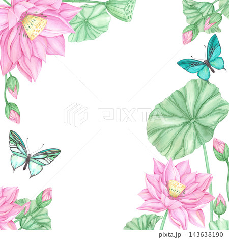 Hand drawn watercolor lotus flowers and leaves frame border, isolated on white background. Can be used for card, invitation, tropical spa design and other printed products Hand drawn watercolor lotus flowers and leaves frame border, isolated on white background. Can be used for card, invitation, tropical spa design and other printed products 143638190