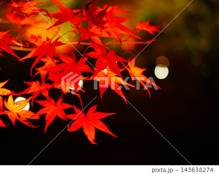 嵐山の紅葉ライトアップ夜景 143638274