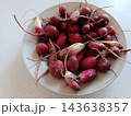 Freshly harvested radishes with roots and soil remnants, displaying vibrant pink and red colors in a white bowl, representing healthy organic produce and spring harvest 143638357