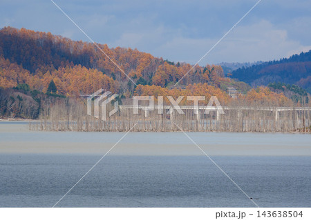 秋のとシューパロ湖の紅葉 143638504