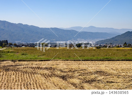 刈り取りが終わった田んぼ 刈り取りが終わった田んぼ 143638565