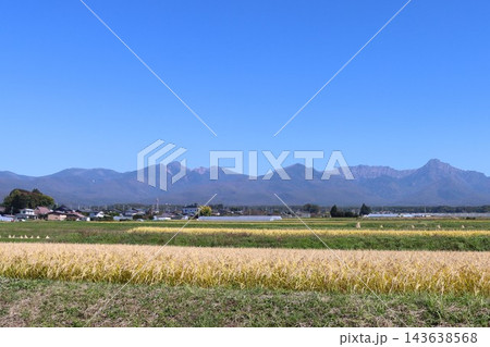 美しい南八ヶ岳の山並みと黄金色の田んぼ 美しい南八ヶ岳の山並みと黄金色の田んぼ 143638568