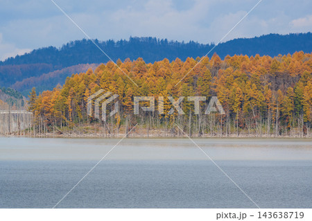 秋のとシューパロ湖の紅葉 143638719