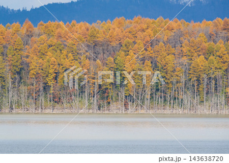 秋のとシューパロ湖の紅葉 143638720