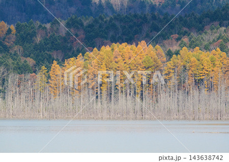 秋のとシューパロ湖の紅葉 秋のとシューパロ湖の紅葉 143638742