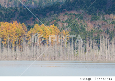 秋のとシューパロ湖の紅葉 秋のとシューパロ湖の紅葉 143638743