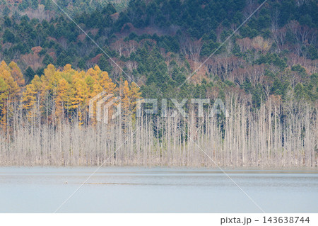 秋のとシューパロ湖の紅葉 143638744