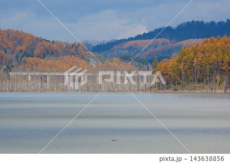 秋のとシューパロ湖の紅葉 秋のとシューパロ湖の紅葉 143638856
