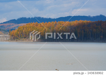 秋のとシューパロ湖の紅葉 秋のとシューパロ湖の紅葉 143638902