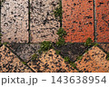 春3月歩道の隙間に咲く小さな命の白い草花 春3月歩道の隙間に咲く小さな命の白い草花 143638954