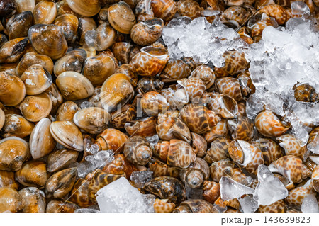 fresh raw seashells on ice at the supermarket 143639823