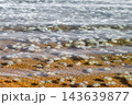 lot of jellyfish in shallow water in sea 143639877