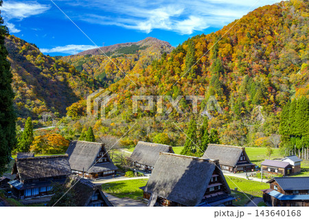 紅葉真っ盛りの世界文化遺産五箇山合掌造り集落 紅葉真っ盛りの世界文化遺産五箇山合掌造り集落 143640168