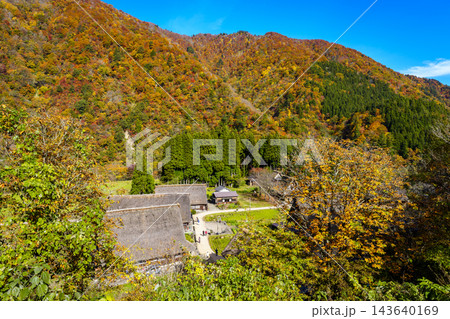 紅葉真っ盛りの世界文化遺産五箇山合掌造り集落 143640169