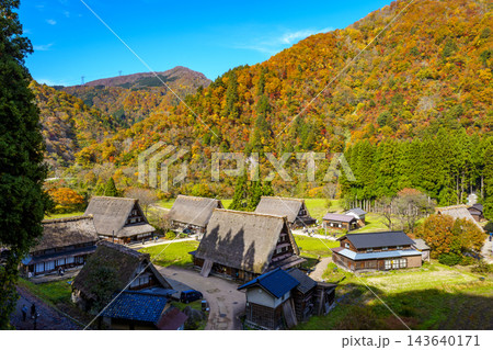 紅葉真っ盛りの世界文化遺産五箇山合掌造り集落 紅葉真っ盛りの世界文化遺産五箇山合掌造り集落 143640171