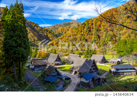 紅葉真っ盛りの世界文化遺産五箇山合掌造り集落 紅葉真っ盛りの世界文化遺産五箇山合掌造り集落 143640634