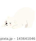Cute Happy Polar Bear Cub Stretching and Lying Down 143641046