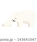 Cute Mother and Baby Polar Bear Characters 143641047
