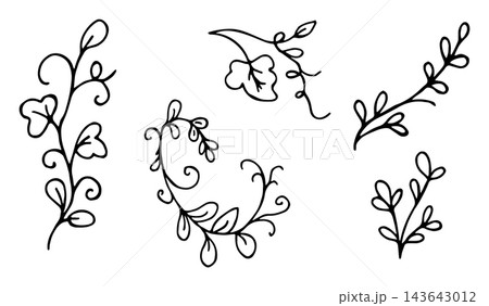 Hand Drawn Doodle Floral Branches Set with Curls and Leaves Outline Illustration, Decorative Botanical Elements Hand Drawn Doodle Floral Branches Set with Curls and Leaves Outline Illustration, Decorative Botanical Elements 143643012