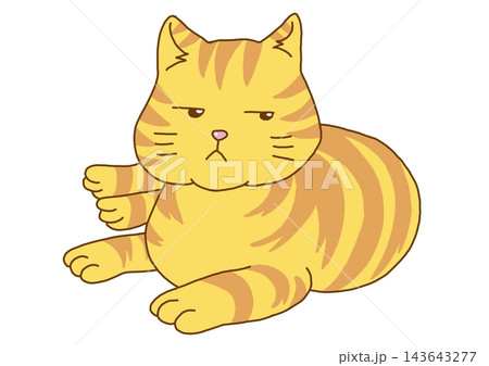 冷めた眼差しで見るチャトラの猫 143643277