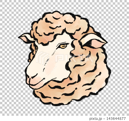 日式綿羊插畫 143644877