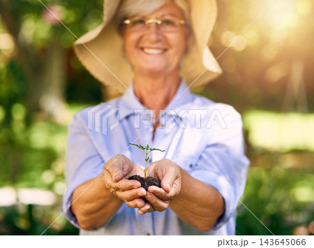 Senior woman, gardening and sprout in home backyard with portrait, smile and plant. Hobby, retirement and nursing outdoor with happy elderly botanist for eco friendly sustainable tree and growth 143645066