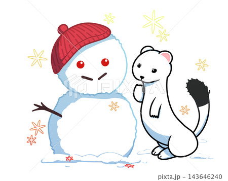 雪だるまを不思議そうに見ているオコジョ 143646240
