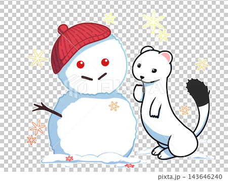 雪だるまを不思議そうに見ているオコジョ 143646240