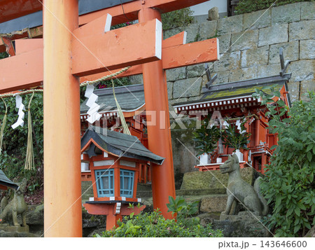 大県神社の鳥居と狛狐 大県神社の鳥居と狛狐 143646600