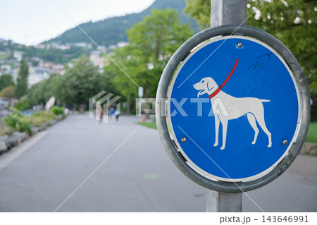 Blue dog walking sign stands beside park path near mountain backdrop. Leashed dog symbol gives clear pet rule guidance, and blurred walkers in green surroundings create peaceful public space. 143646991