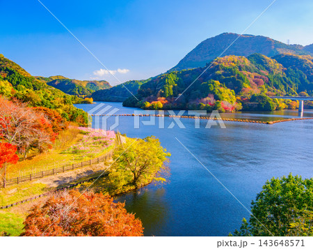 秋の耶馬渓ダム展望台から快晴の青空と見頃の紅葉に囲まれた青々ときらめく耶馬渓湖を捉えた湖畔風景 秋の耶馬渓ダム展望台から快晴の青空と見頃の紅葉に囲まれた青々ときらめく耶馬渓湖を捉えた湖畔風景 143648571